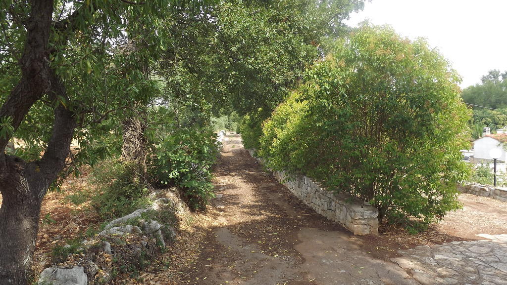 Villa Apollonia B&B Монополи Екстериор снимка